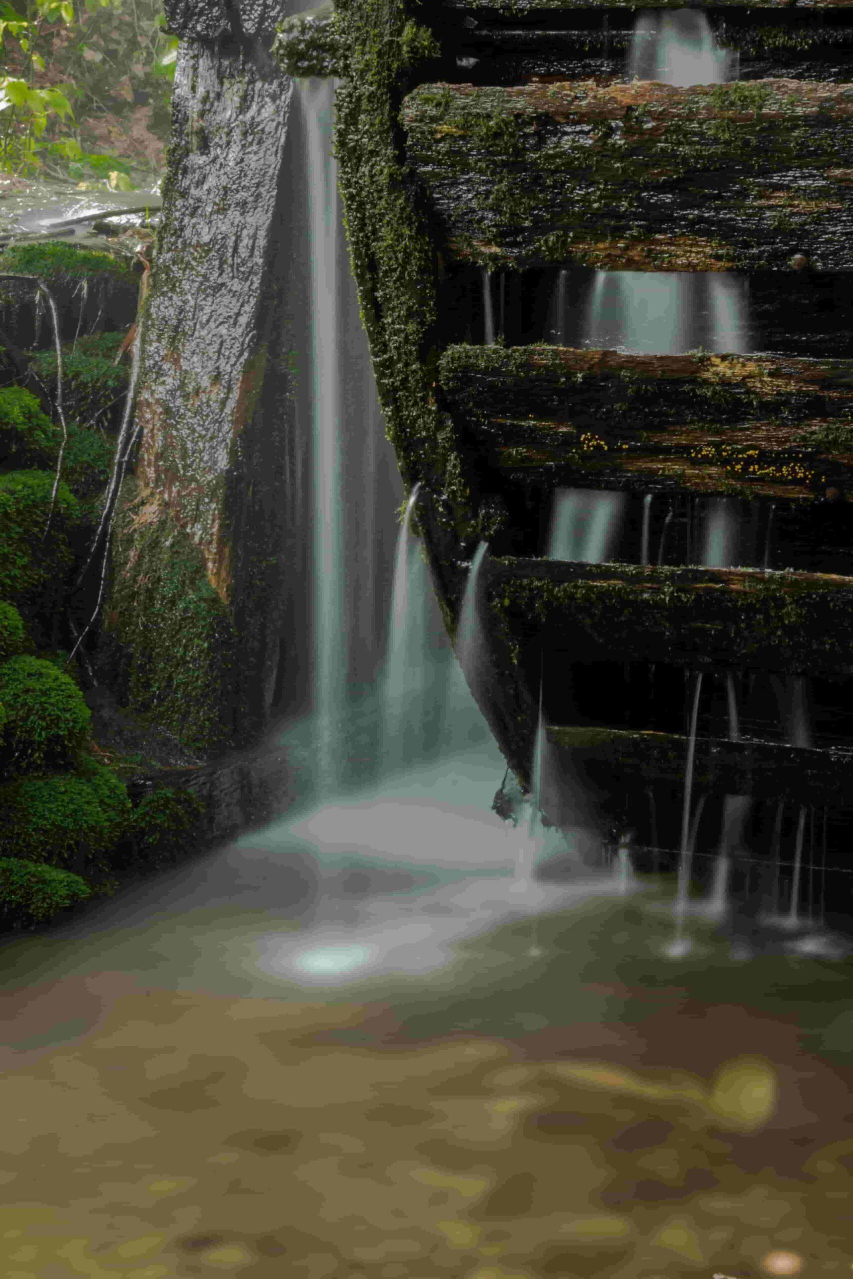 Photography Classes at Great Smoky Mountain Tremont Institute: Townsend, Tennessee