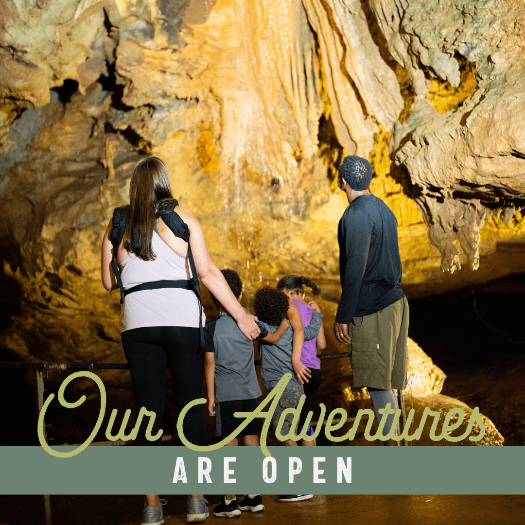 Smoky Mountain Adventures are Open during COVID-19