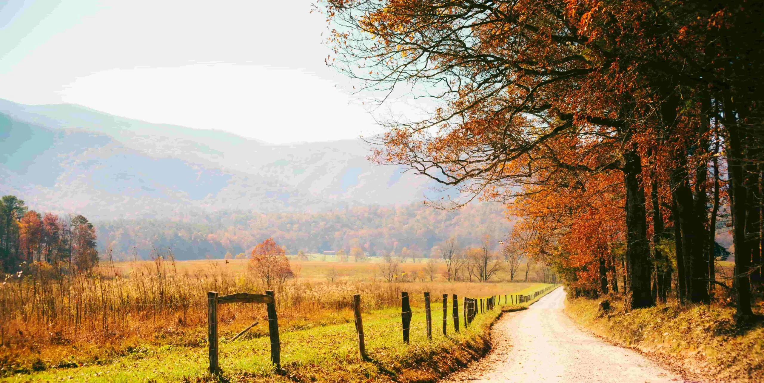 Changing Fall Foliage in the Smokies dirt road