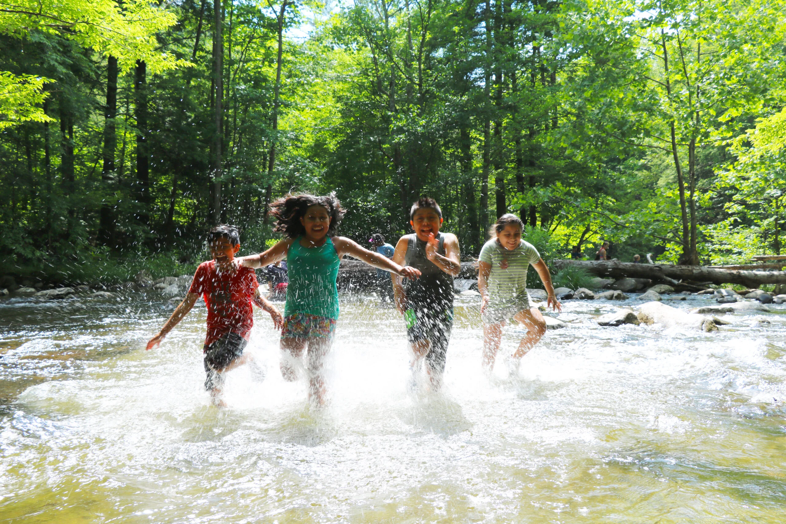 Kids running in a creek in the Smoky Mountains