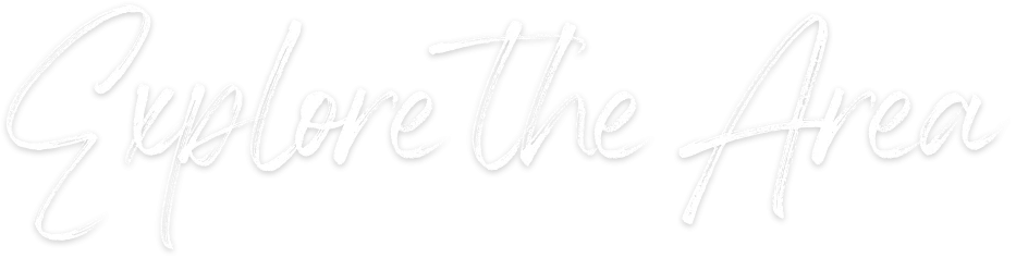 Explore the Area