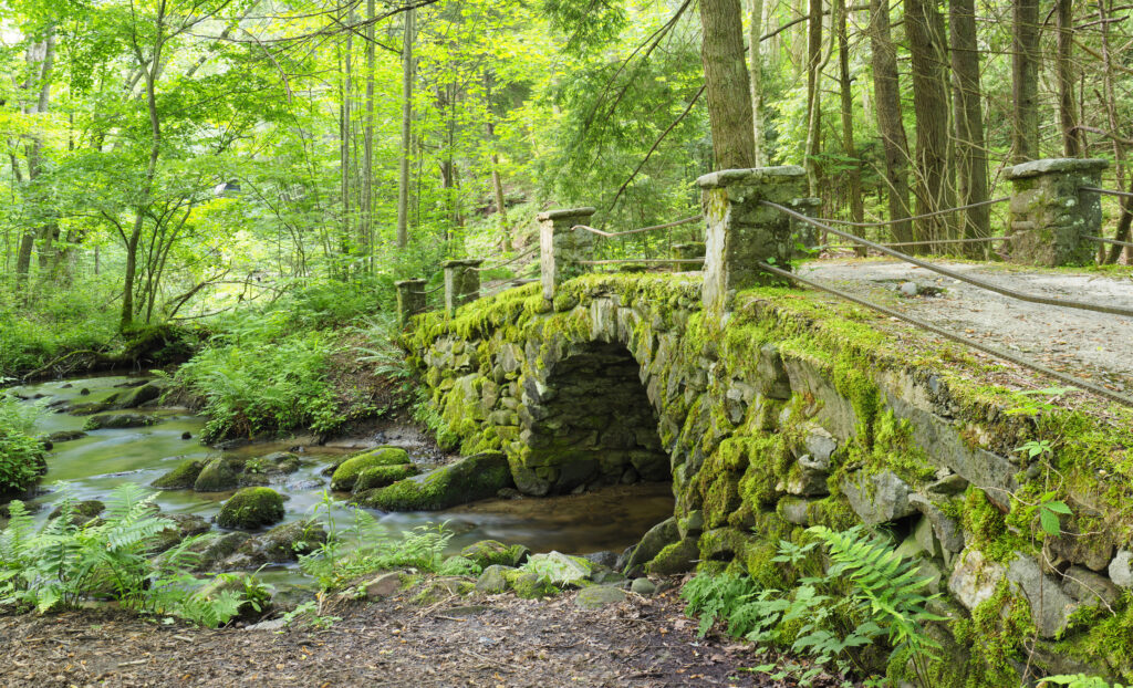 Beautiful Moss Covered Antique Stone Bridge Near the Little River The Great Smokies Mountains National Park