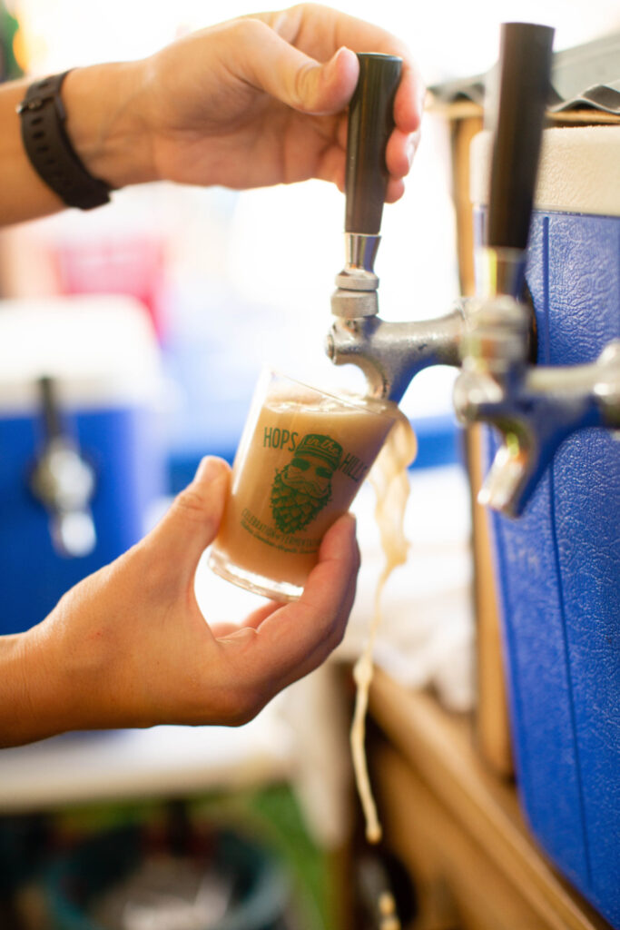 sample pour of craft beer