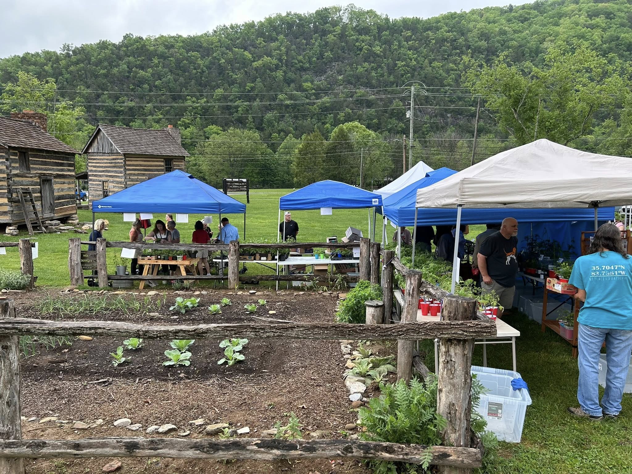 Tuckaleeche Garden Club Plant Sale
