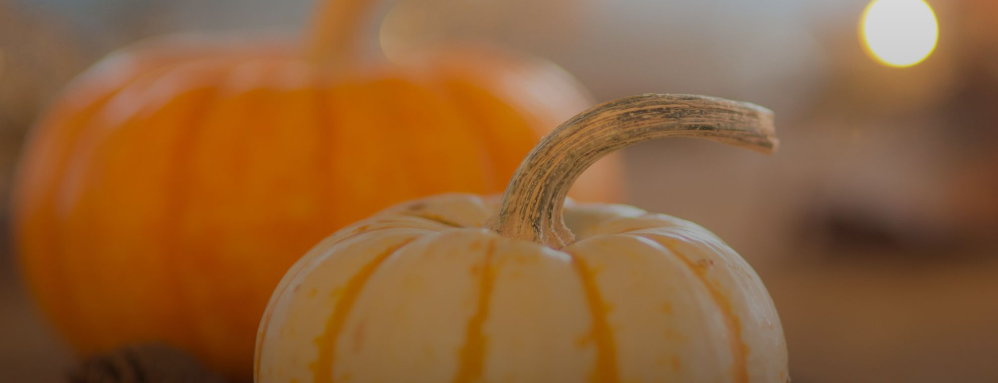 Thanksgiving at the Bistro