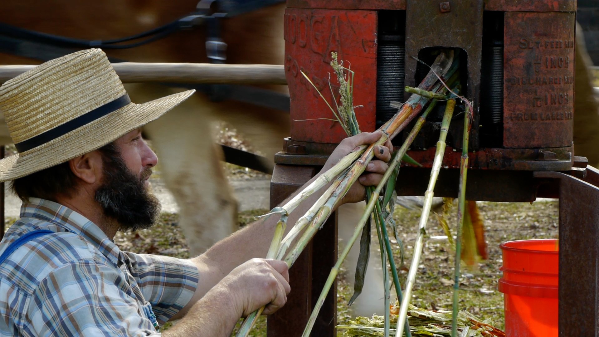 Free Sorghum-Making Demonstrations